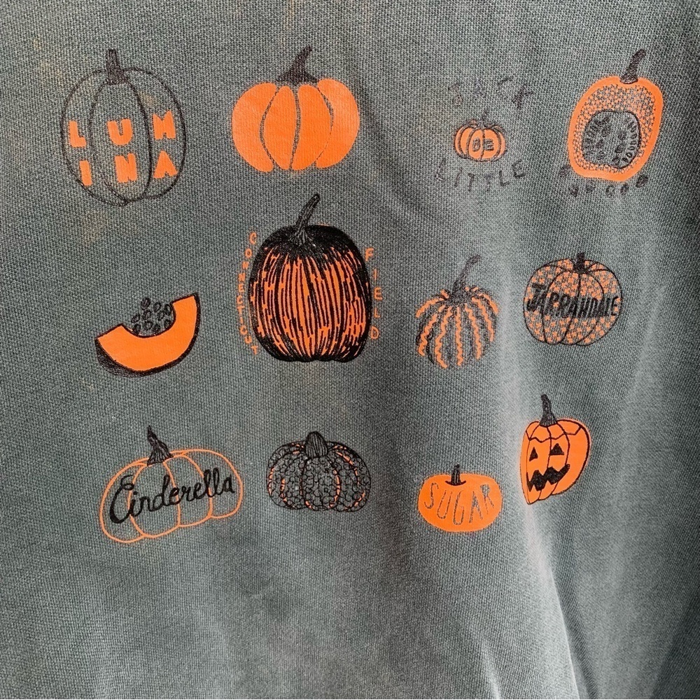 Halloween Crewneck Sweatshirt Pumpkins Comfort Colors Size XL - Picture 3 of 4